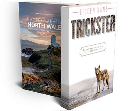 Penguin Publication House